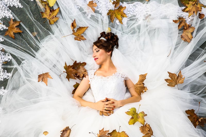 Celestial Wedding Dress